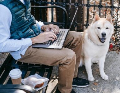 Man with computer and dog outside livingonthepatio.com